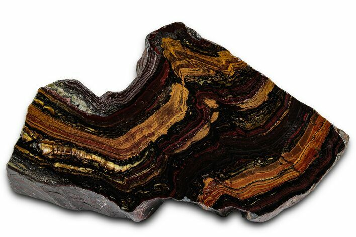 Polished Tiger Iron Stromatolite Section - Billion Years #353260